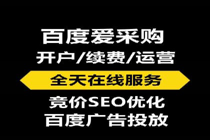 SEM广告投放的竞价策略与效果评估案例
