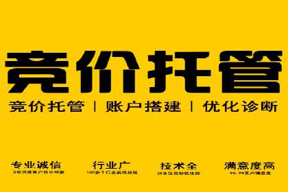 SEM关键词优化实战案例分析